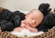 How to choose a pediatrician.