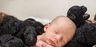 How to choose a pediatrician.