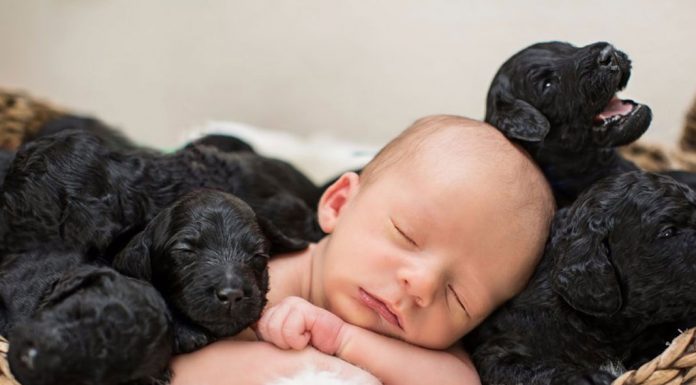 How to choose a pediatrician.