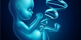 Should all newborns undergo genetic screening for type 1 diabetes risk?