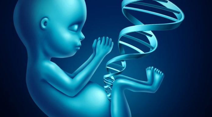 Should all newborns undergo genetic screening for type 1 diabetes risk?