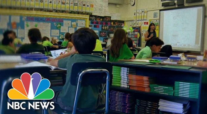 Coronavirus: Pediatric Group Calls To Reopen Schools By Start Of Academic Year | NBC Nightly News