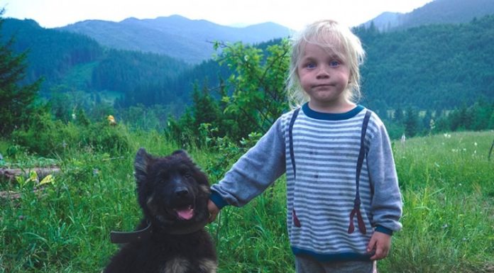 Dogs Boost Toddlers’ Social and Emotional Development